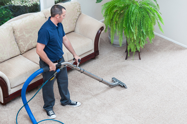 Cleaning Carpets